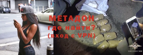 индика Козельск