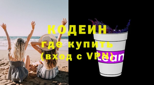 индика Козельск