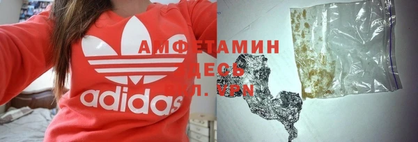 индика Козельск