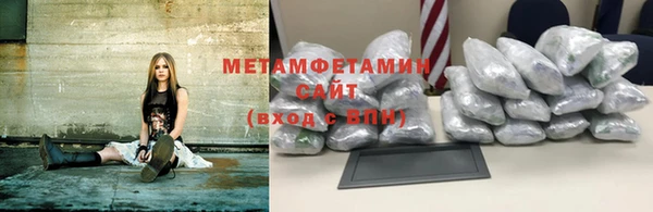 индика Козельск