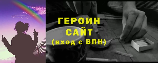 индика Козельск