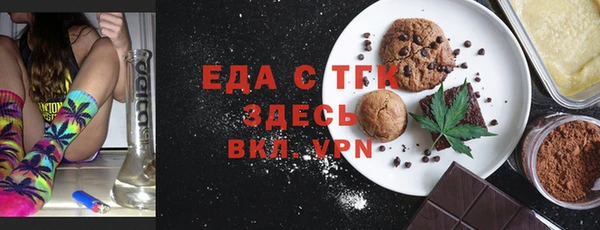 индика Козельск
